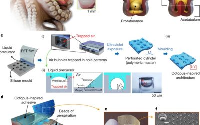 Nature, 546, 396-400